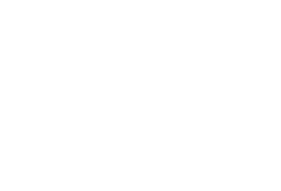 Vivachess